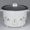 Gtron  GT-2104rc Rice Cooker